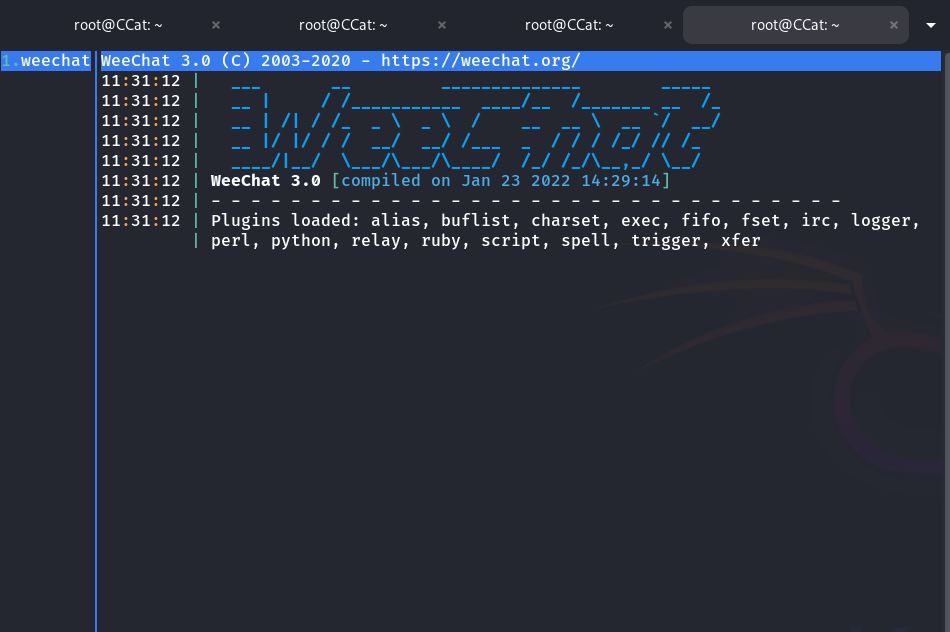 Ansicht der WeeChat-Anwendung, nachdem sie im Kontext von www-data für den Benutzer chatlake geladen wurde.